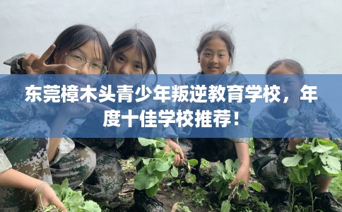 东莞樟木头青少年叛逆教育学校，年度十佳学校推荐！