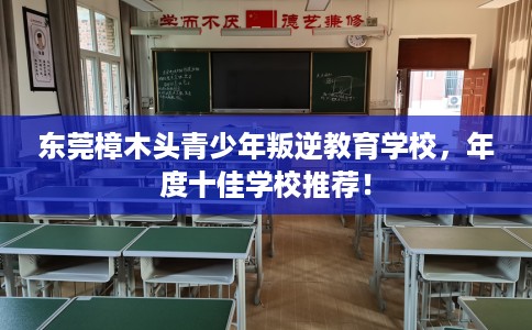 东莞樟木头青少年叛逆教育学校，年度十佳学校推荐！