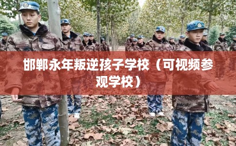 邯郸永年叛逆孩子学校(可视频参观学校) 邯郸永年叛逆孩子学校(可视频参观学校)