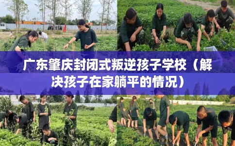 广东肇庆封闭式叛逆孩子学校（解决孩子在家躺平的情况）