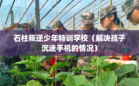 石柱叛逆少年特训学校(解决孩子沉迷手机的情况) 石柱叛逆少年特训学校(解决孩子沉迷手机的情况)