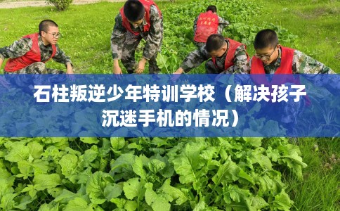 石柱叛逆少年特训学校(解决孩子沉迷手机的情况) 石柱叛逆少年特训学校(解决孩子沉迷手机的情况)
