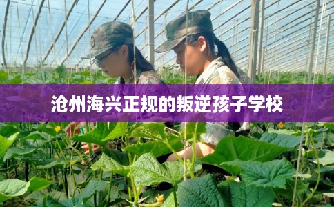 沧州海兴正规的叛逆孩子学校