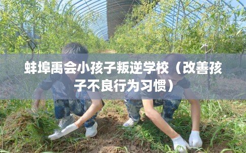 蚌埠禹会小孩子叛逆学校(改善孩子不良行为习惯) 蚌埠禹会小孩子叛逆学校(改善孩子不良行为习惯)