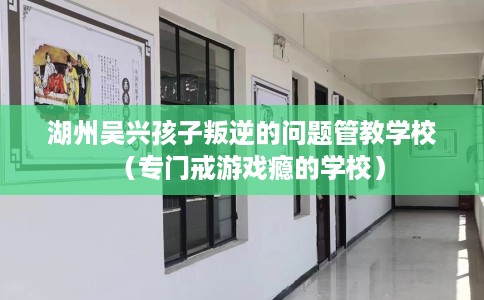 湖州吴兴孩子叛逆的问题管教学校（专门戒游戏瘾的学校）
