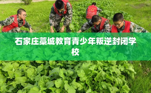 石家庄藁城教育青少年叛逆封闭学校 石家庄藁城教育青少年叛逆封闭学校