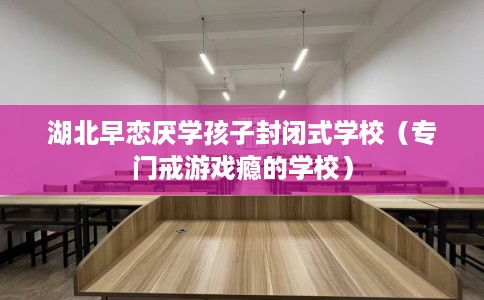 湖北早恋厌学孩子封闭式学校（专门戒游戏瘾的学校）