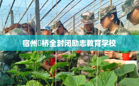 宿州埇桥全封闭励志教育学校