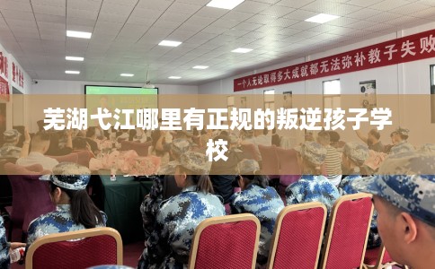 芜湖弋江哪里有正规的叛逆孩子学校