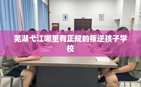 芜湖弋江哪里有正规的叛逆孩子学校