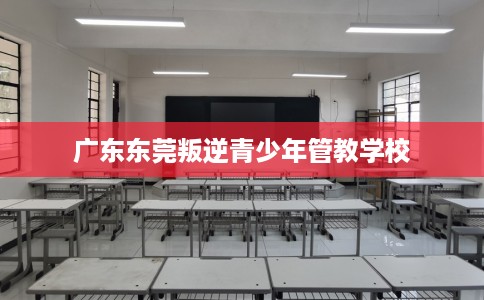 广东东莞叛逆青少年管教学校 广东东莞叛逆青少年管教学校