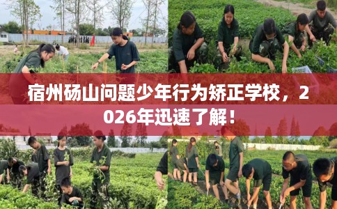 宿州砀山问题少年行为矫正学校,2026年迅速了解! 宿州砀山问题少年行为矫正学校,2026年迅速了解!
