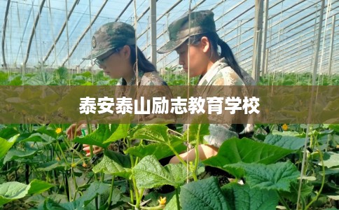泰安泰山励志教育学校 泰安泰山励志教育学校