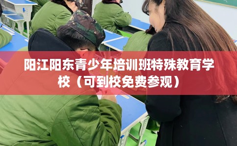 阳江阳东青少年培训班特殊教育学校（可到校免费参观）