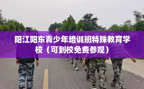 阳江阳东青少年培训班特殊教育学校（可到校免费参观）