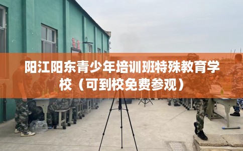 阳江阳东青少年培训班特殊教育学校（可到校免费参观）