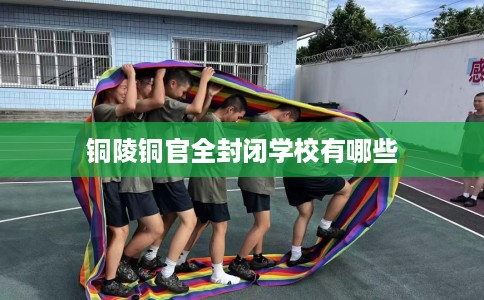 铜陵铜官全封闭学校有哪些 铜陵铜官全封闭学校有哪些