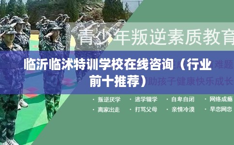 临沂临沭特训学校在线咨询(行业前十推荐) 临沂临沭特训学校在线咨询(行业前十推荐)