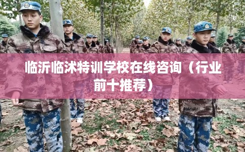 临沂临沭特训学校在线咨询(行业前十推荐) 临沂临沭特训学校在线咨询(行业前十推荐)