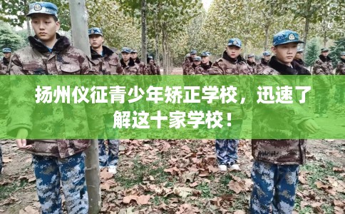扬州仪征青少年矫正学校，迅速了解这十家学校！