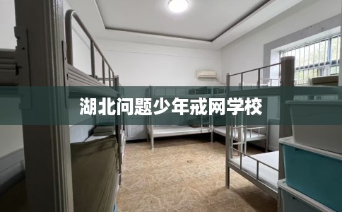 湖北问题少年戒网学校