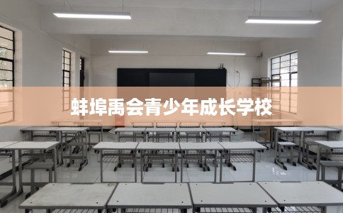 蚌埠禹会青少年成长学校