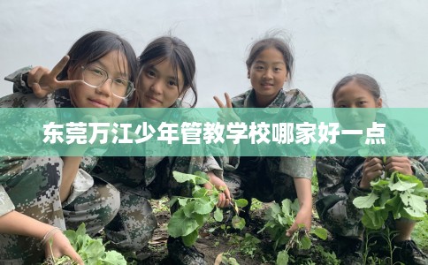 东莞万江少年管教学校哪家好一点 东莞万江少年管教学校哪家好一点