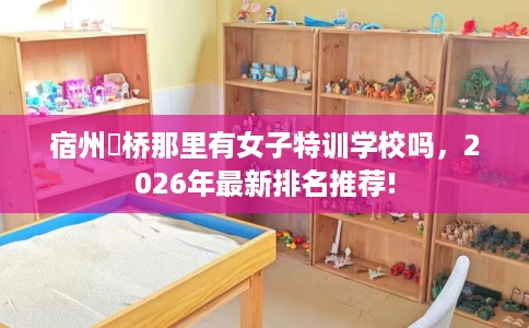 宿州埇桥那里有女子特训学校吗，2026年最新排名推荐!