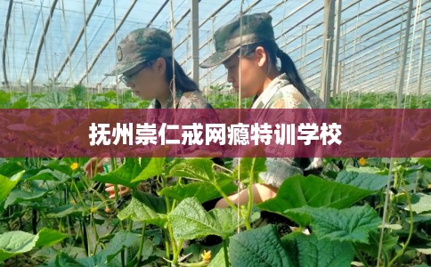 抚州崇仁戒网瘾特训学校 抚州崇仁戒网瘾特训学校