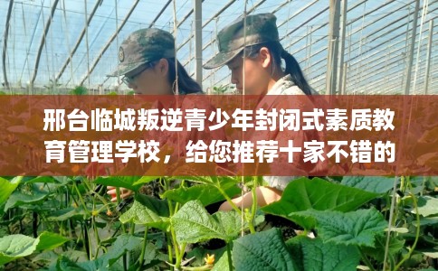 邢台临城叛逆青少年封闭式素质教育管理学校,给您推荐十家不错的学校! 邢台临城叛逆青少年封闭式素质教育管理学校,给您推荐十家不错的学校!
