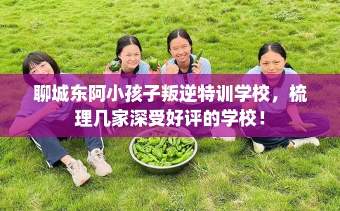 聊城东阿小孩子叛逆特训学校，梳理几家深受好评的学校！