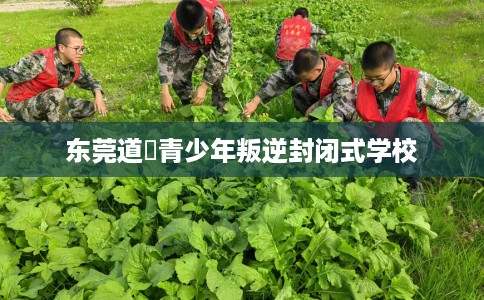 东莞道滘青少年叛逆封闭式学校