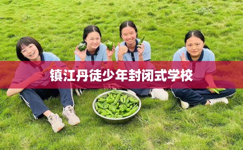 镇江丹徒少年封闭式学校 镇江丹徒少年封闭式学校