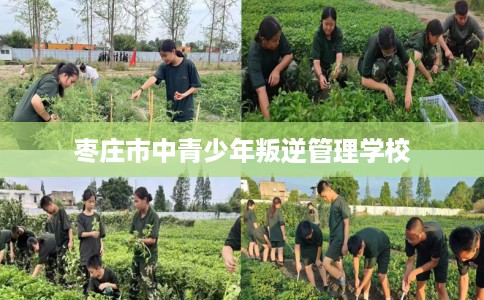 枣庄市中青少年叛逆管理学校