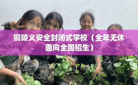 铜陵义安全封闭式学校(全年无休面向全国招生) 铜陵义安全封闭式学校(全年无休面向全国招生)