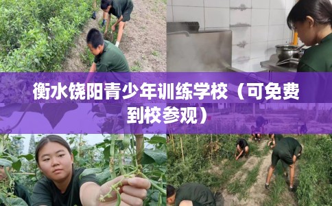 衡水饶阳青少年训练学校(可免费到校参观) 衡水饶阳青少年训练学校(可免费到校参观)