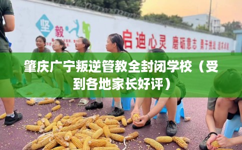 肇庆广宁叛逆管教全封闭学校(受到各地家长好评) 肇庆广宁叛逆管教全封闭学校(受到各地家长好评)
