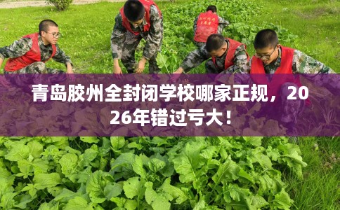青岛胶州全封闭学校哪家正规,2026年错过亏大! 青岛胶州全封闭学校哪家正规,2026年错过亏大!