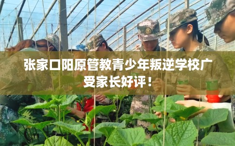 张家口阳原管教青少年叛逆学校广受家长好评！