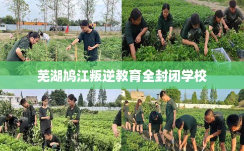 芜湖鸠江叛逆教育全封闭学校