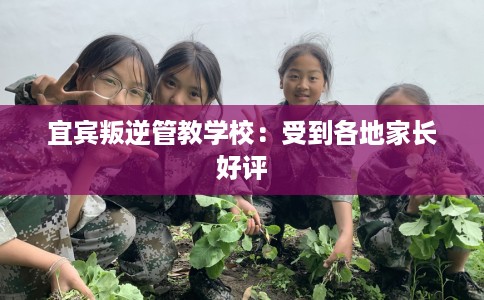 宜宾叛逆管教学校：受到各地家长好评