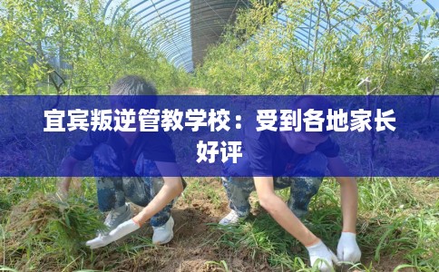 宜宾叛逆管教学校：受到各地家长好评