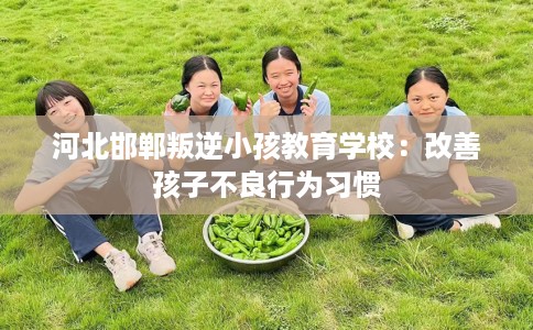 河北邯郸叛逆小孩教育学校:改善孩子不良行为习惯 河北邯郸叛逆小孩教育学校:改善孩子不良行为习惯