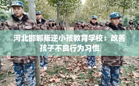 河北邯郸叛逆小孩教育学校:改善孩子不良行为习惯 河北邯郸叛逆小孩教育学校:改善孩子不良行为习惯
