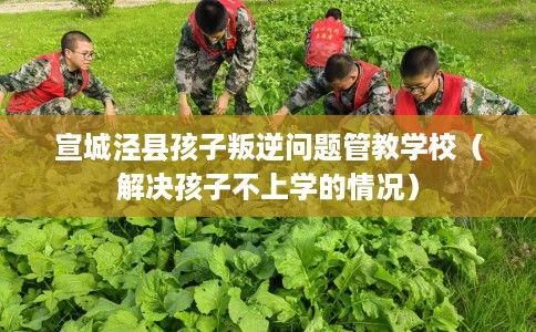宣城泾县孩子叛逆问题管教学校(解决孩子不上学的情况) 宣城泾县孩子叛逆问题管教学校(解决孩子不上学的情况)