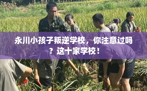 永川小孩子叛逆学校，你注意过吗？这十家学校！