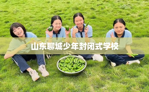 山东聊城少年封闭式学校 山东聊城少年封闭式学校