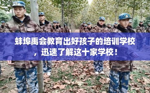 蚌埠禹会教育出好孩子的培训学校，迅速了解这十家学校！