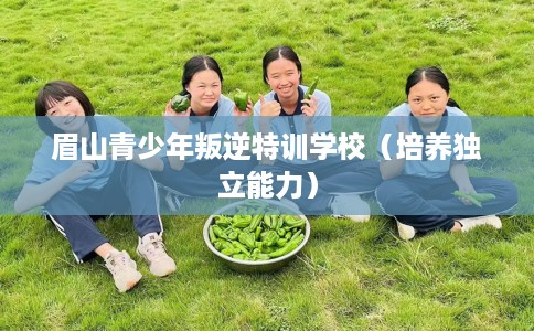 眉山青少年叛逆特训学校(培养独立能力) 眉山青少年叛逆特训学校(培养独立能力)