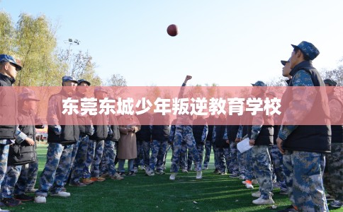 东莞东城少年叛逆教育学校